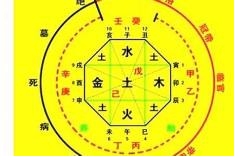 八字喜五行|生辰八字算命、五行喜用神查询（免费测算）